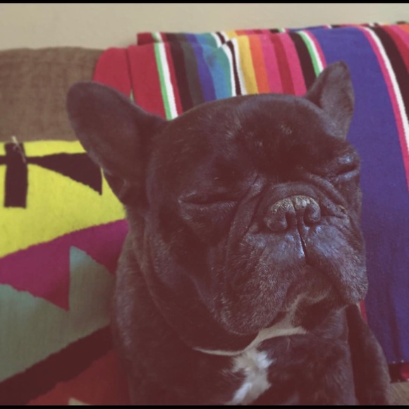 Meet your Posher, Adrienne - Picture 4 of 5